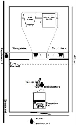 Search Behavior in Goat (Capra hircus) Kids From Mothers Kept at Different Animal Densities Throughout Pregnancy